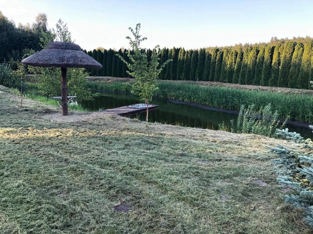 Дома для отпуска Domek na wsi nad jeziorem , prywatny staw Kamieńczyk Dezerta-18